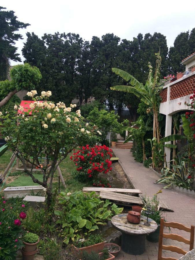 Haras Des Arcades Villa Perpignan Eksteriør billede