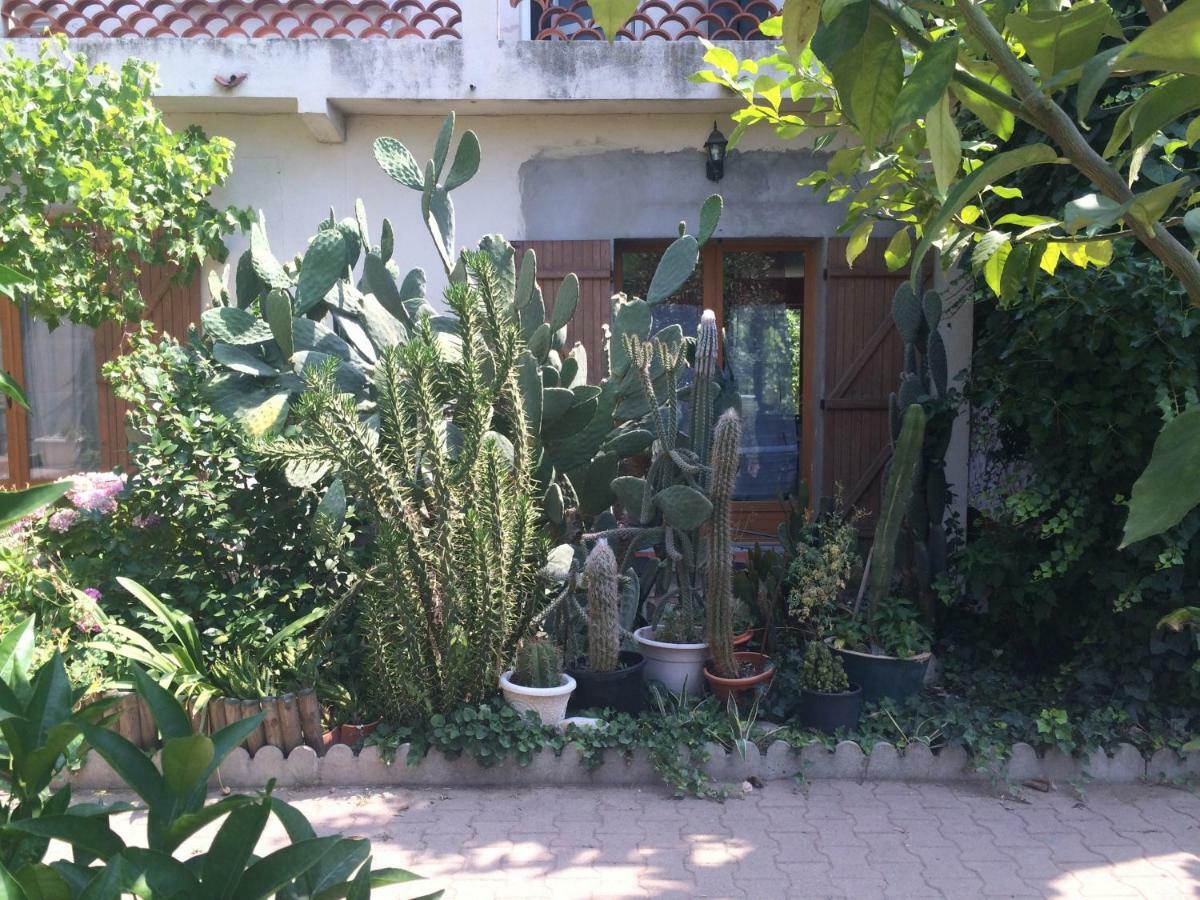 Haras Des Arcades Villa Perpignan Eksteriør billede