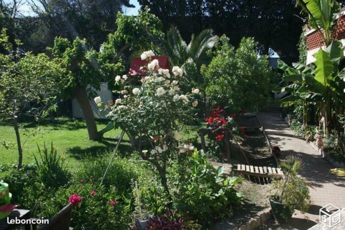Haras Des Arcades Villa Perpignan Eksteriør billede